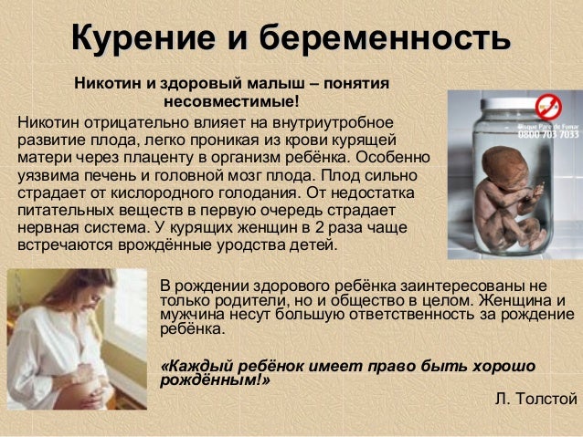 Вред от курения беременных 1019 Вред от курения беременных 286
